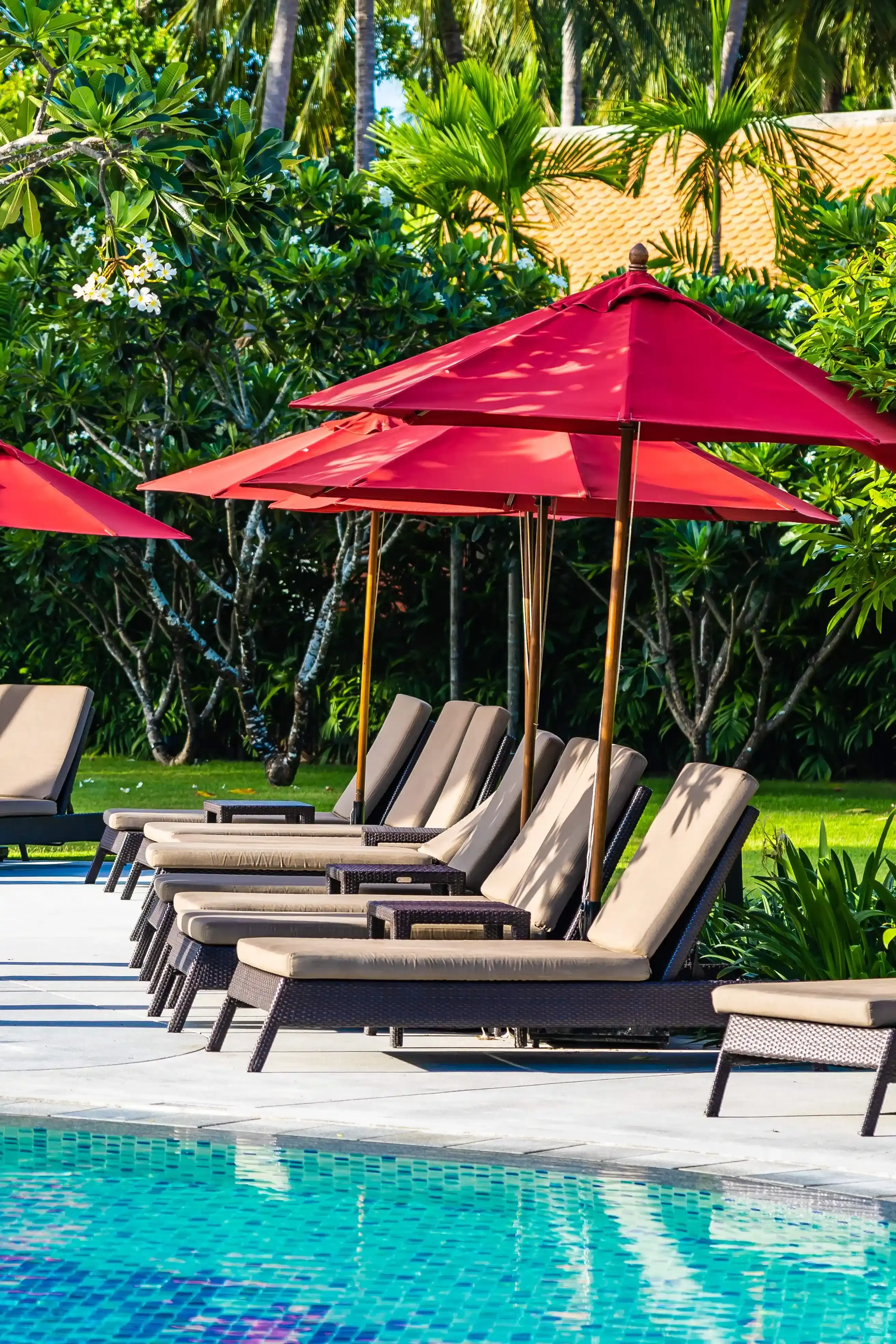 Resort and lounge